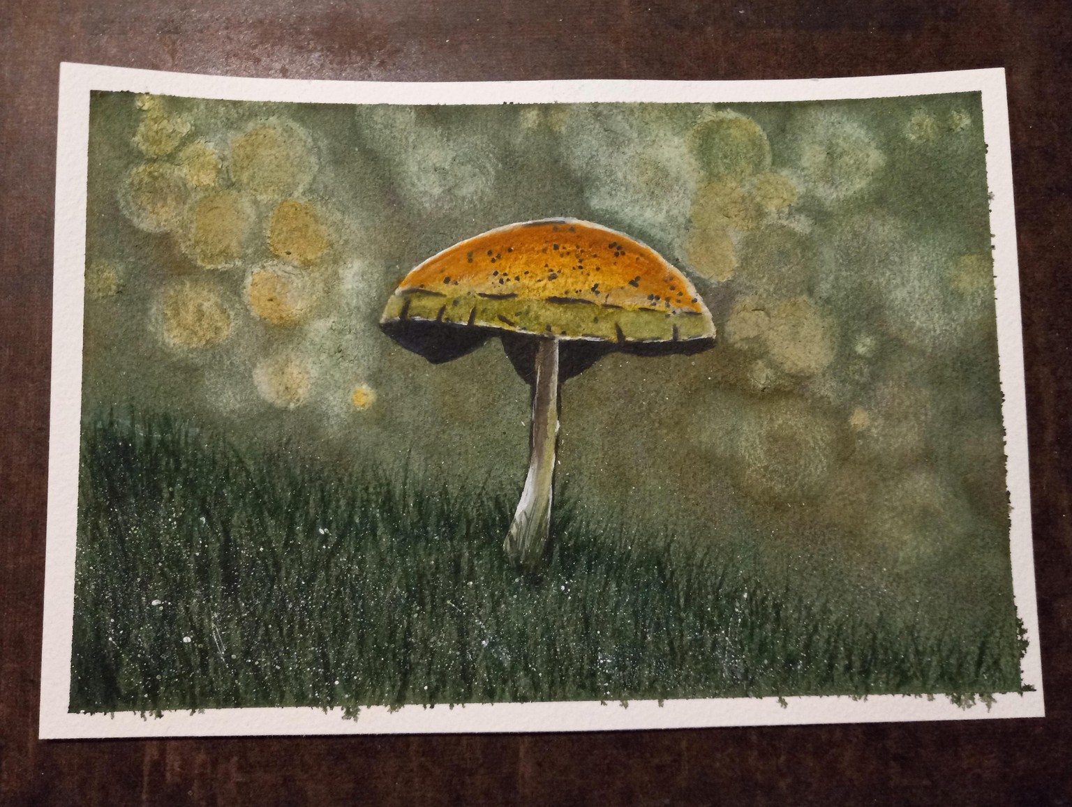 Bokeh Mushroom - image 1 - student project