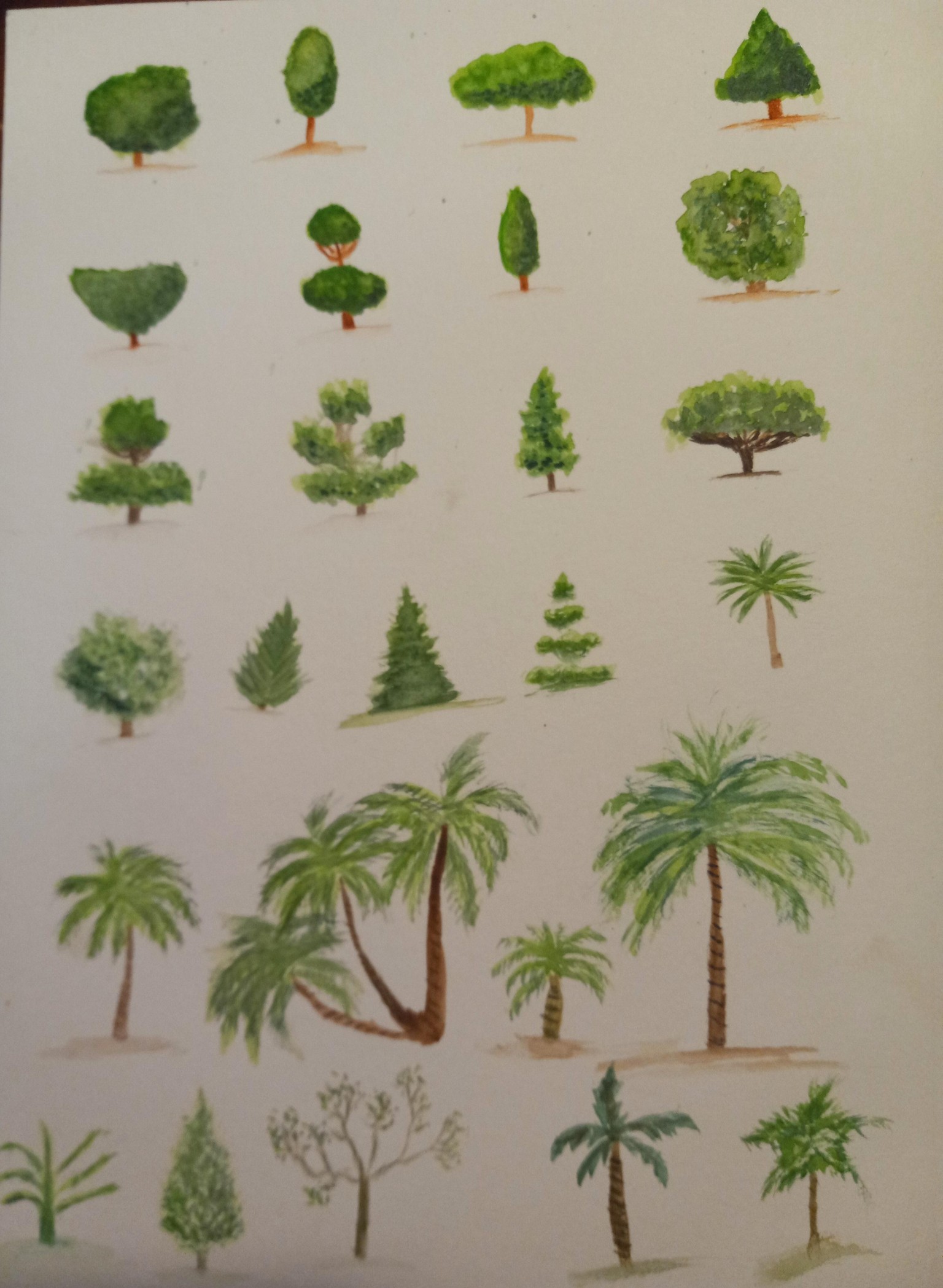 Trees, Trees, Trees - image 2 - student project
