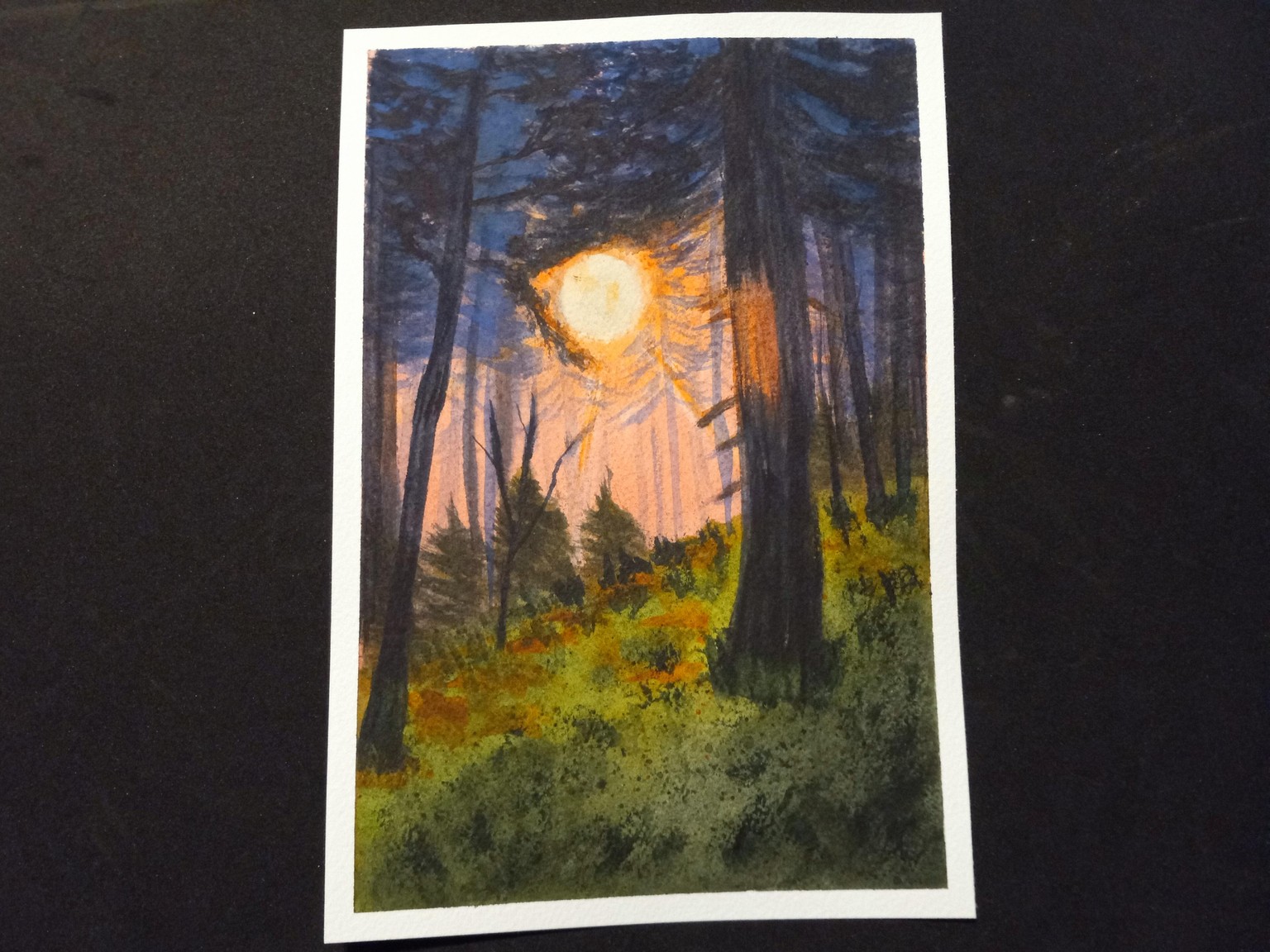 Beneath the Trees - image 7 - student project