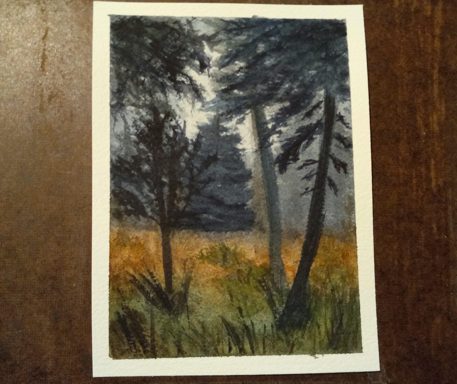 Beneath the Trees - image 2 - student project