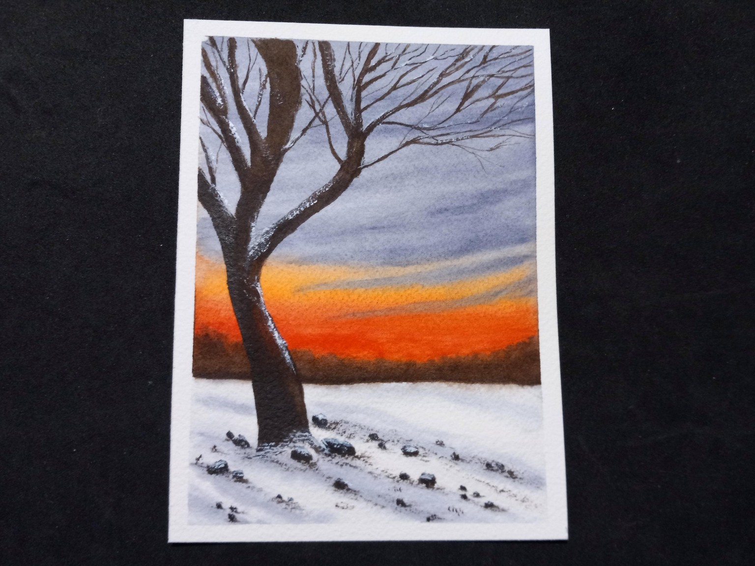 7 Days of Sunsets with Z - image 4 - student project