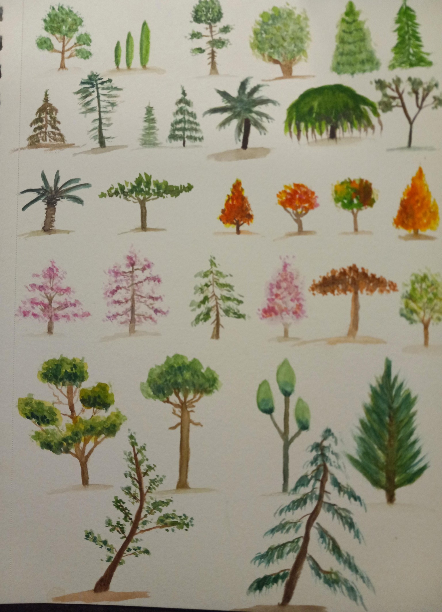 Trees, Trees, Trees - image 3 - student project