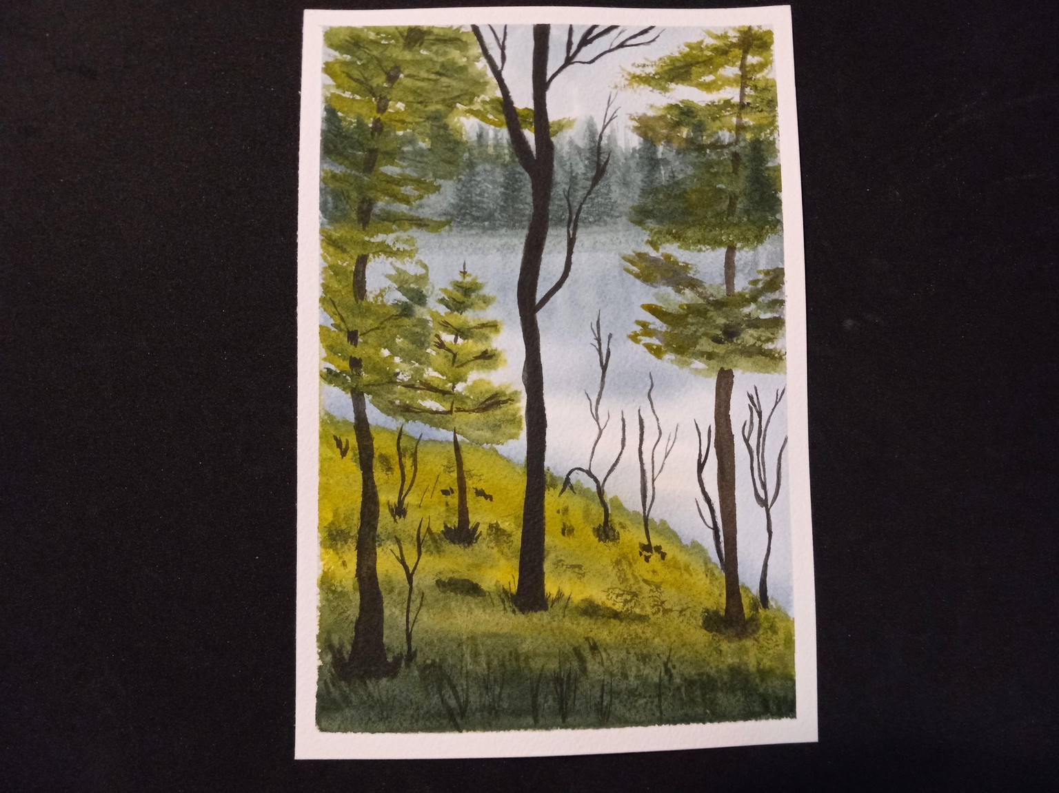 Beneath the Trees - image 6 - student project