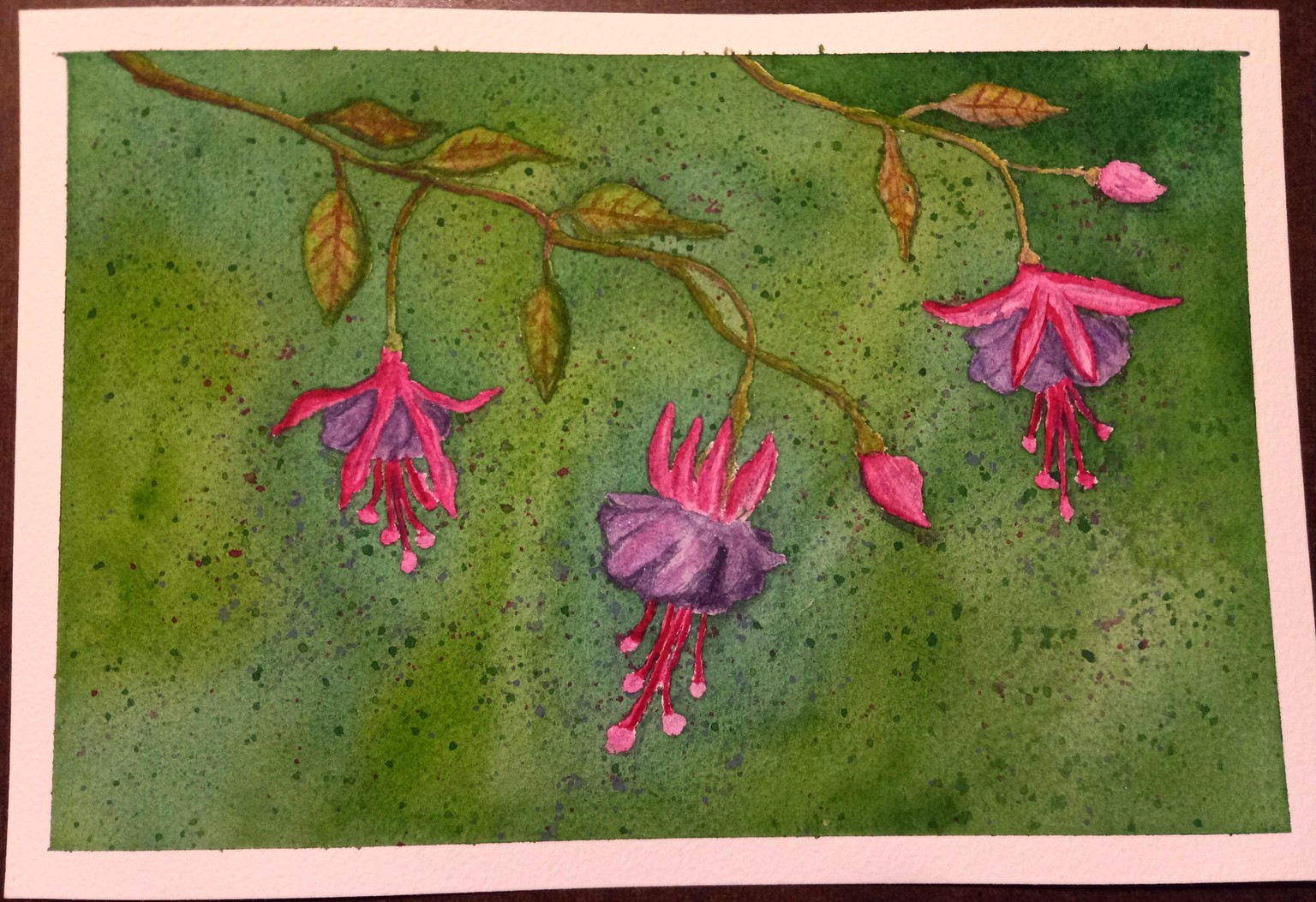 Blossom to Bloom 15 Day - image 6 - student project