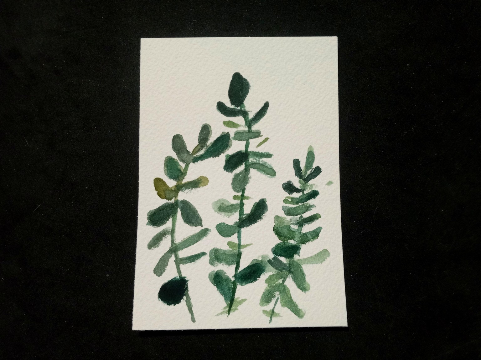 Loose Flowers with a Filbert Brush - image 1 - student project
