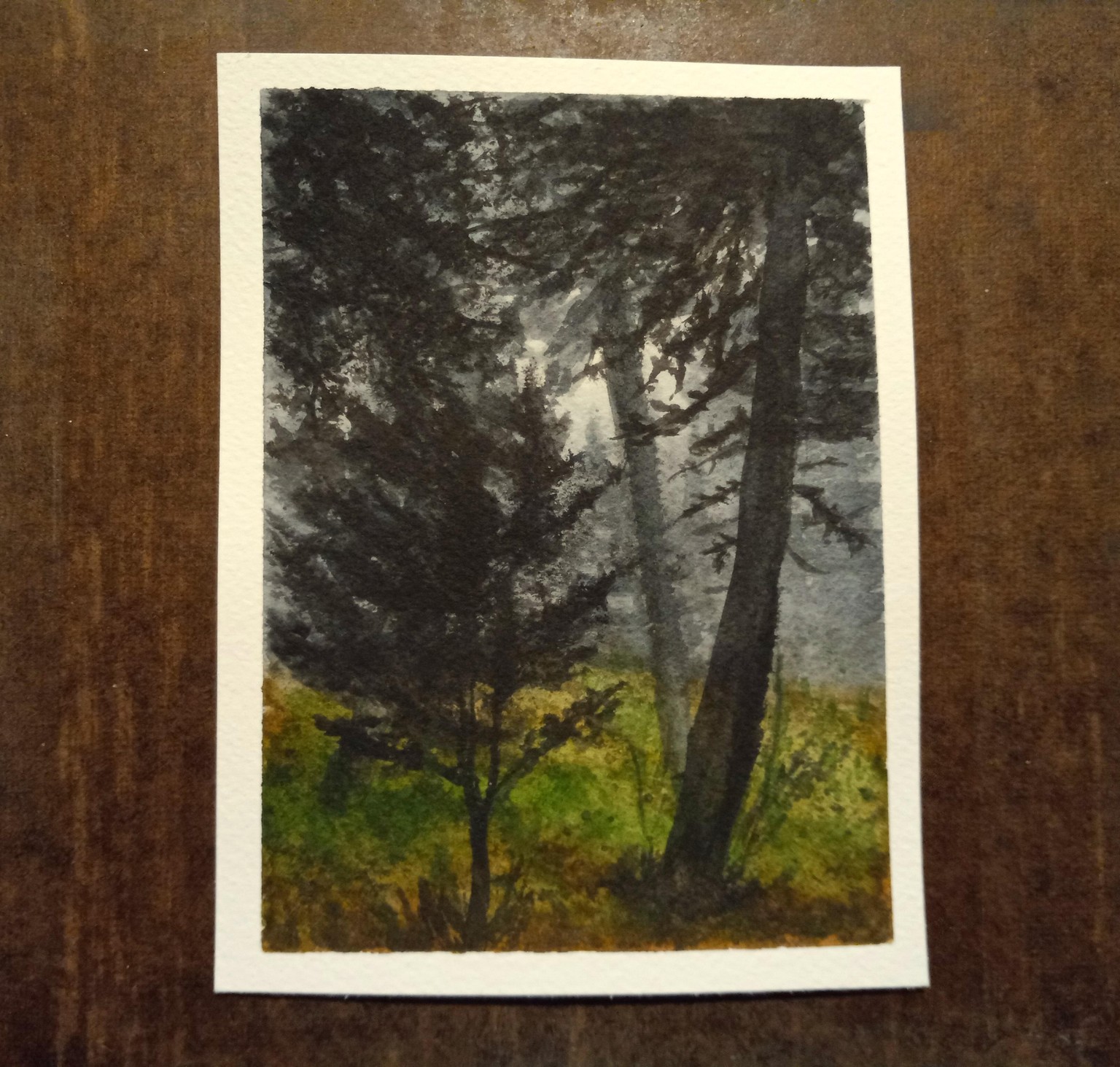 Beneath the Trees - image 3 - student project