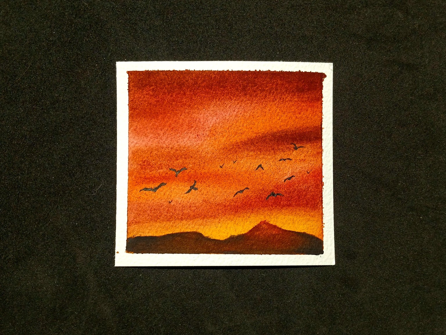 Learning Birds to add to Paintings - image 12 - student project