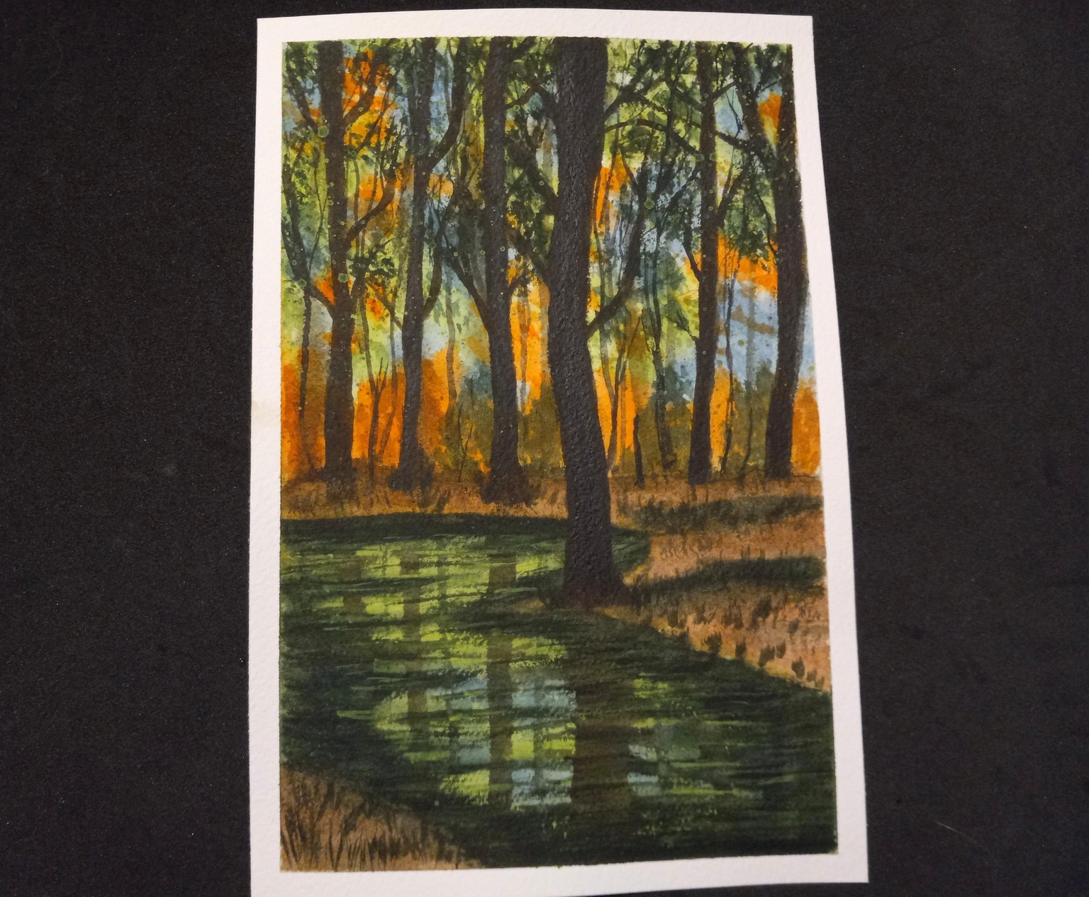 Beneath the Trees - image 8 - student project