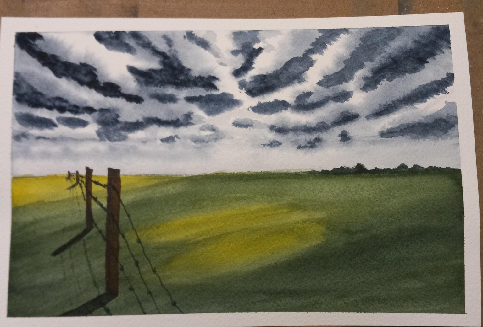 Beginning Watercolor - image 5 - student project