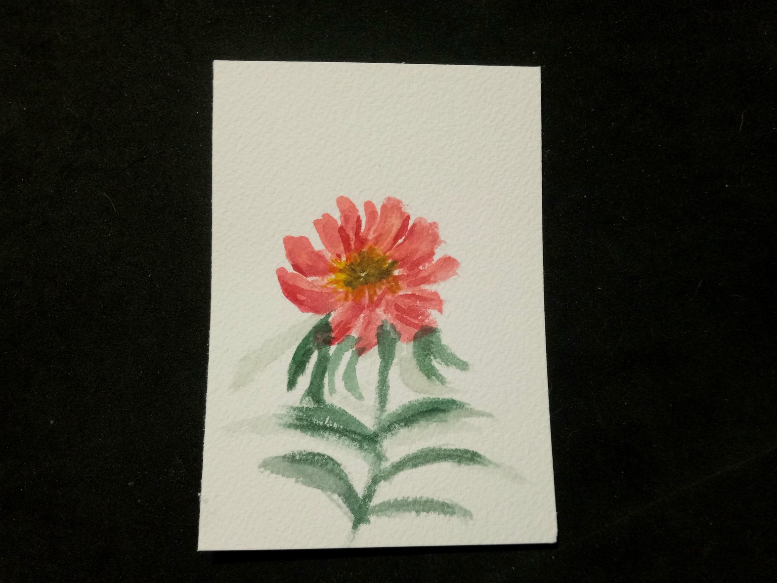 Loose Flowers with a Filbert Brush - image 2 - student project