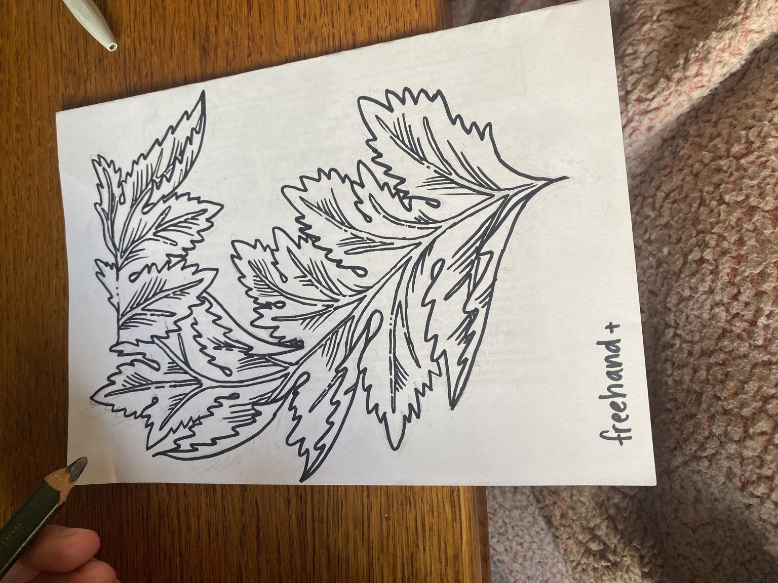My Acanthus - image 2 - student project