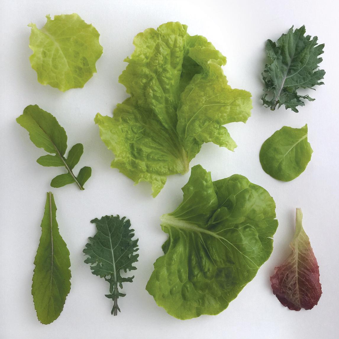 Collage from my garden - image 3 - student project