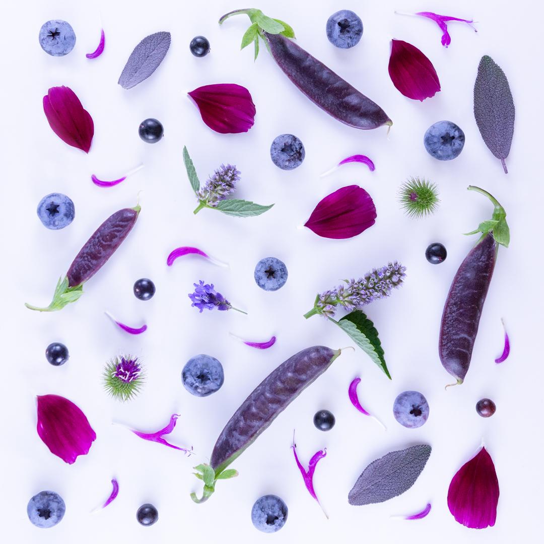 Collage from my garden - image 4 - student project