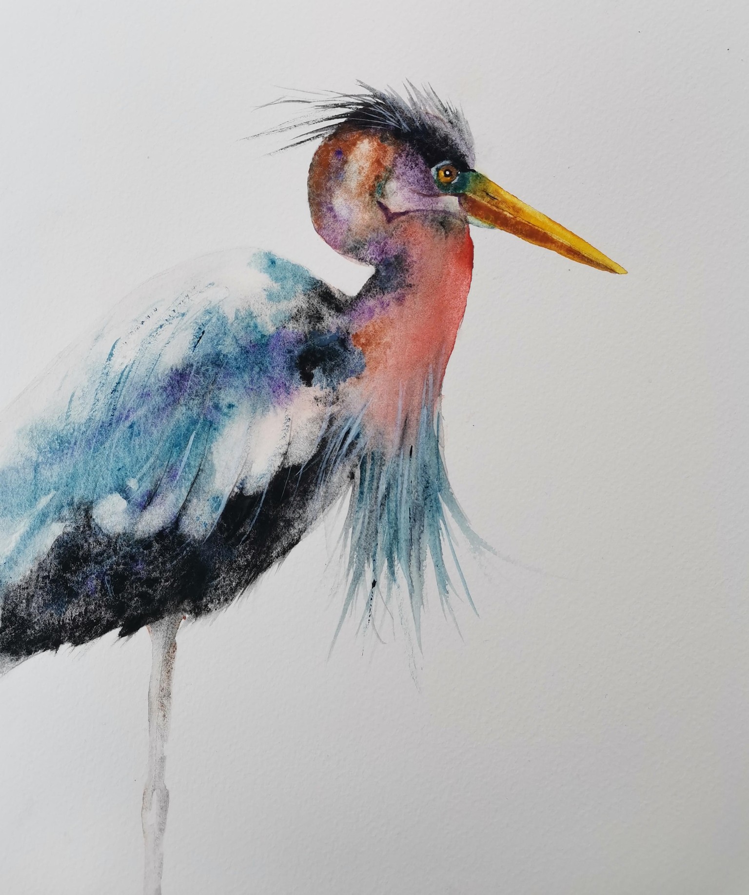 Heron - image 1 - student project