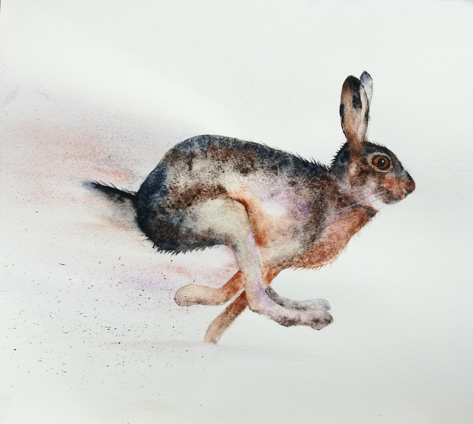 My running hare - image 1 - student project