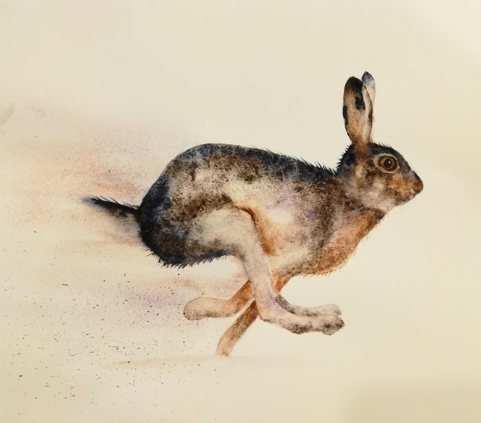 My running hare - image 2 - student project