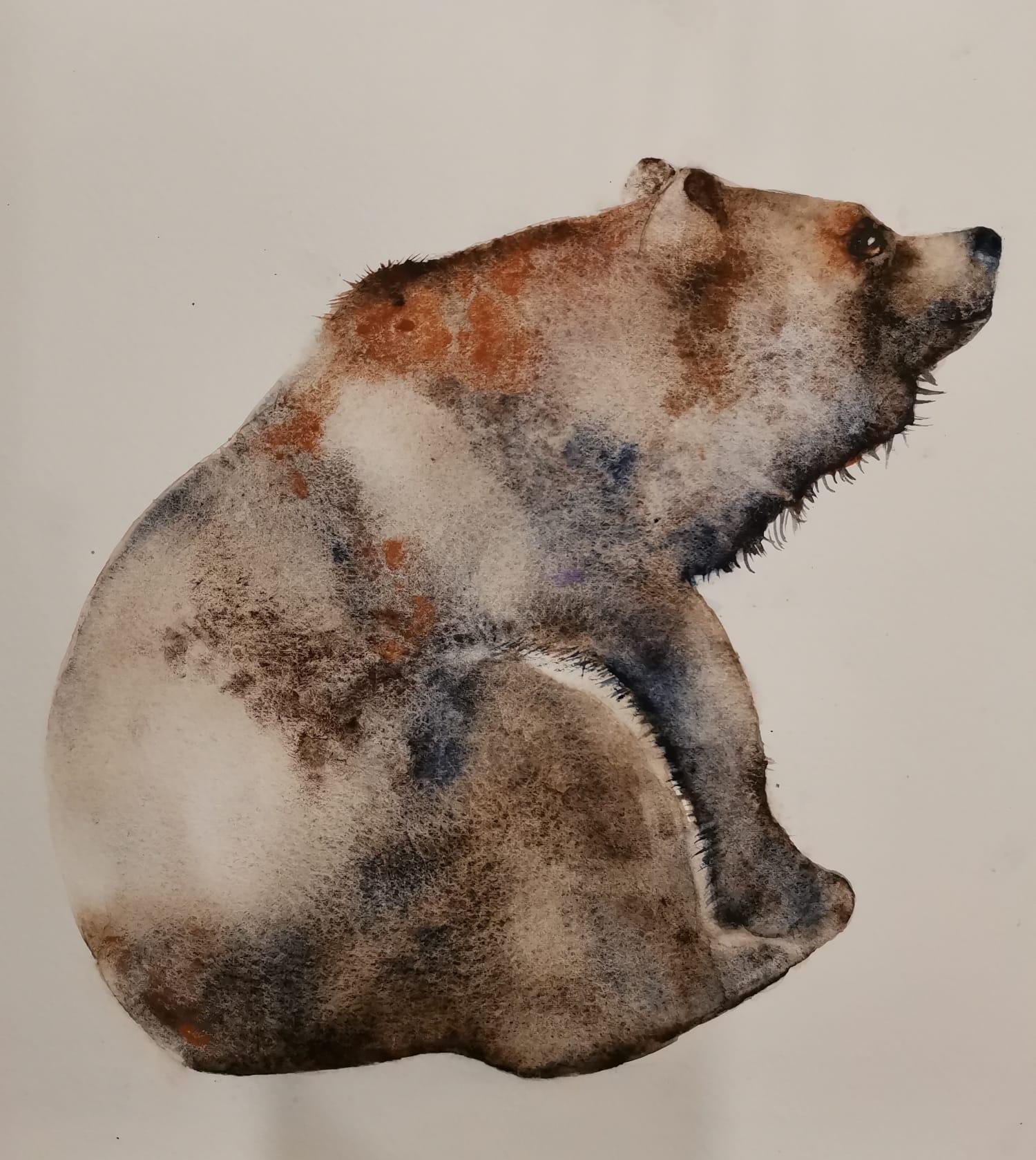 Bear - image 1 - student project