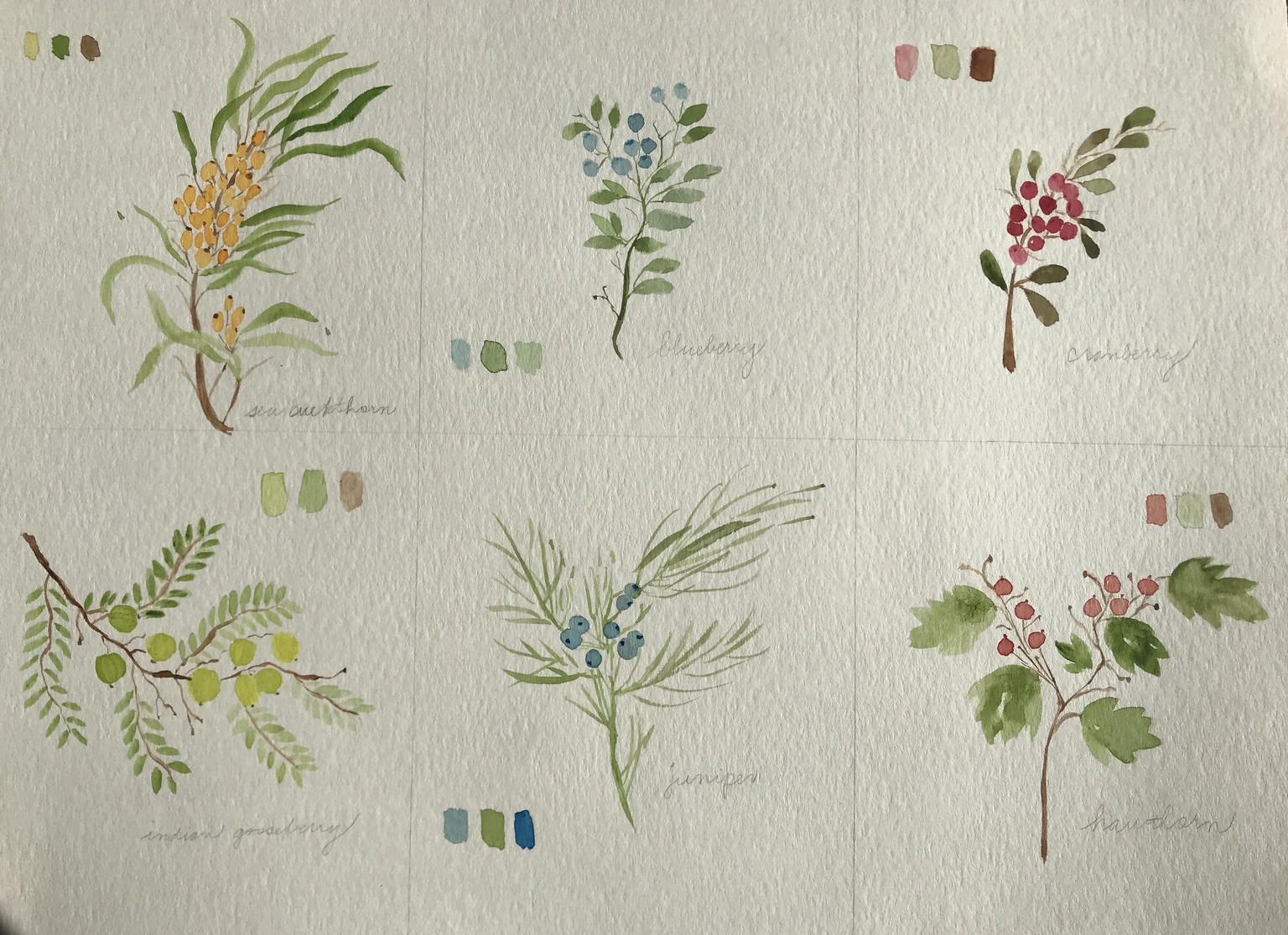 Fruitful Practice! - image 1 - student project