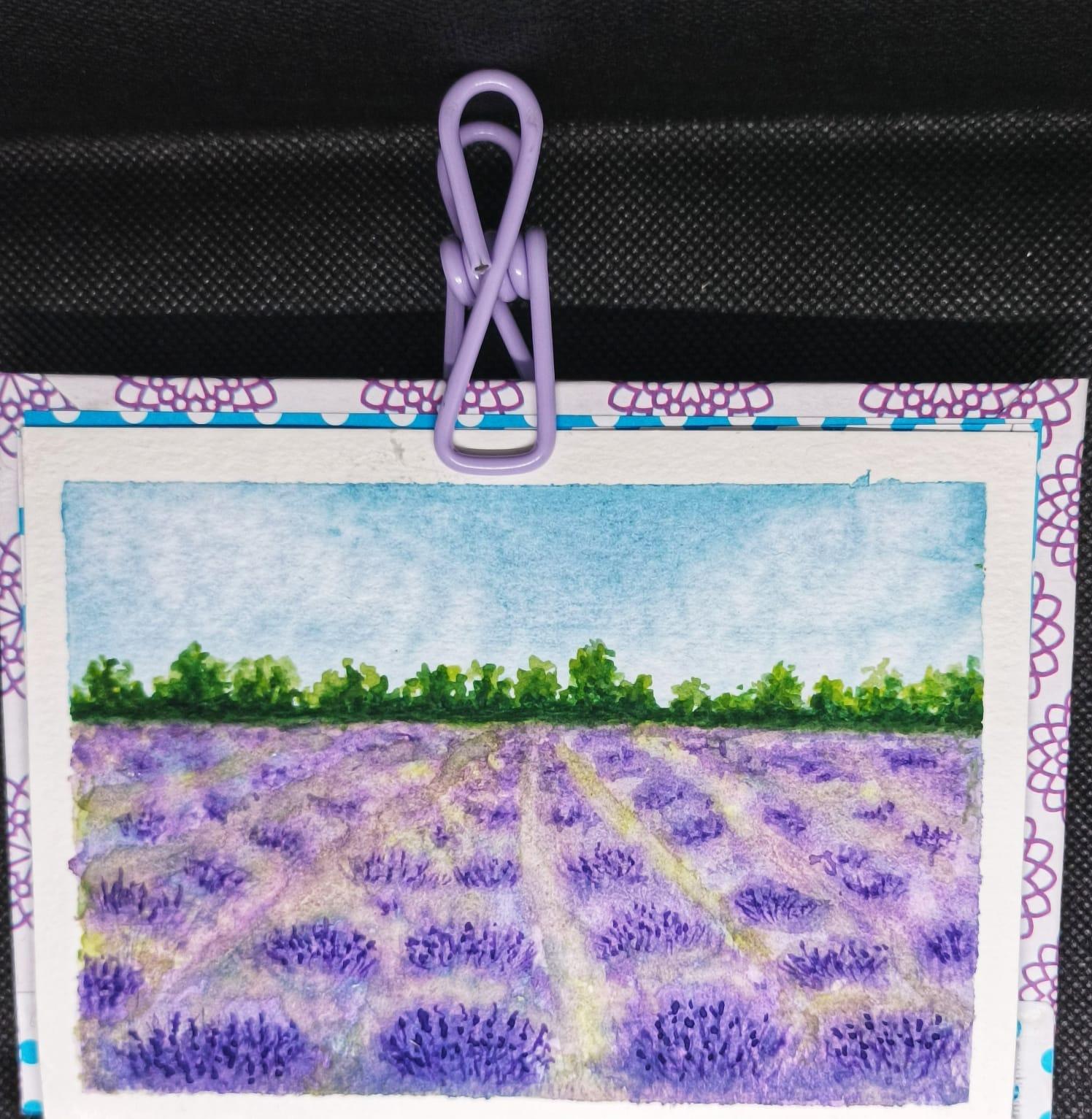 Paisajes - image 1 - student project