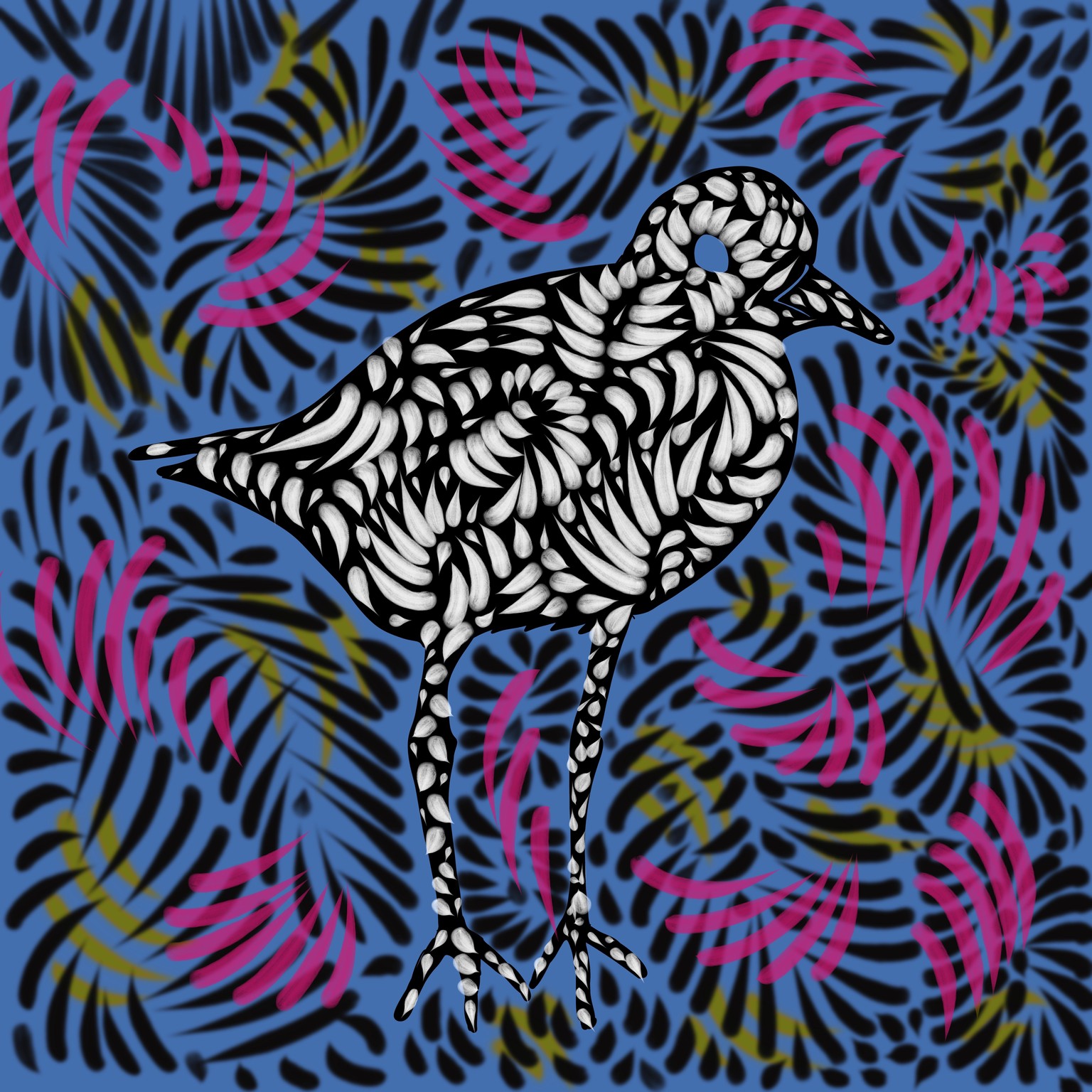 plover shore bird - image 3 - student project