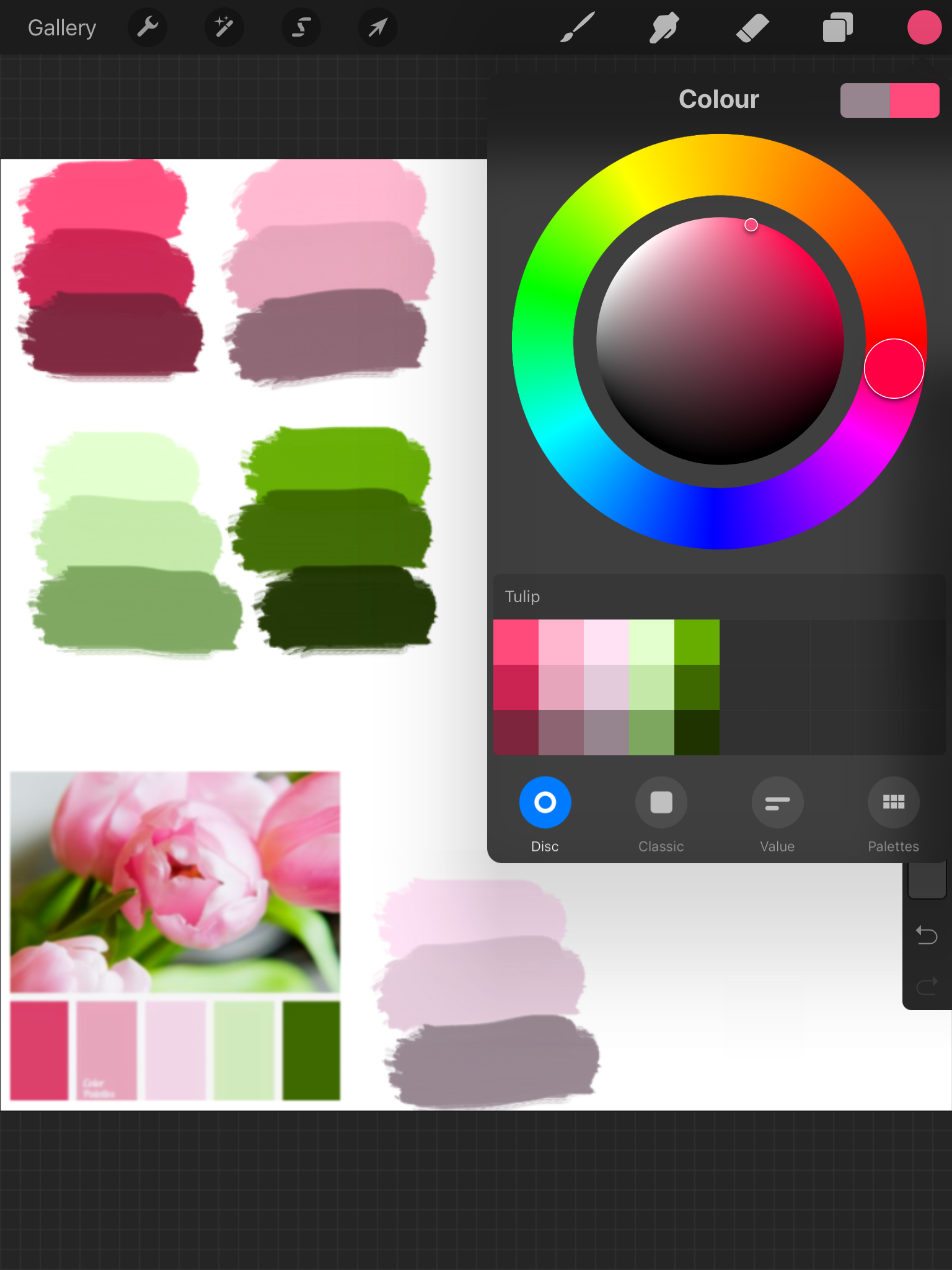 Perfect color palettes - tulip - image 1 - student project