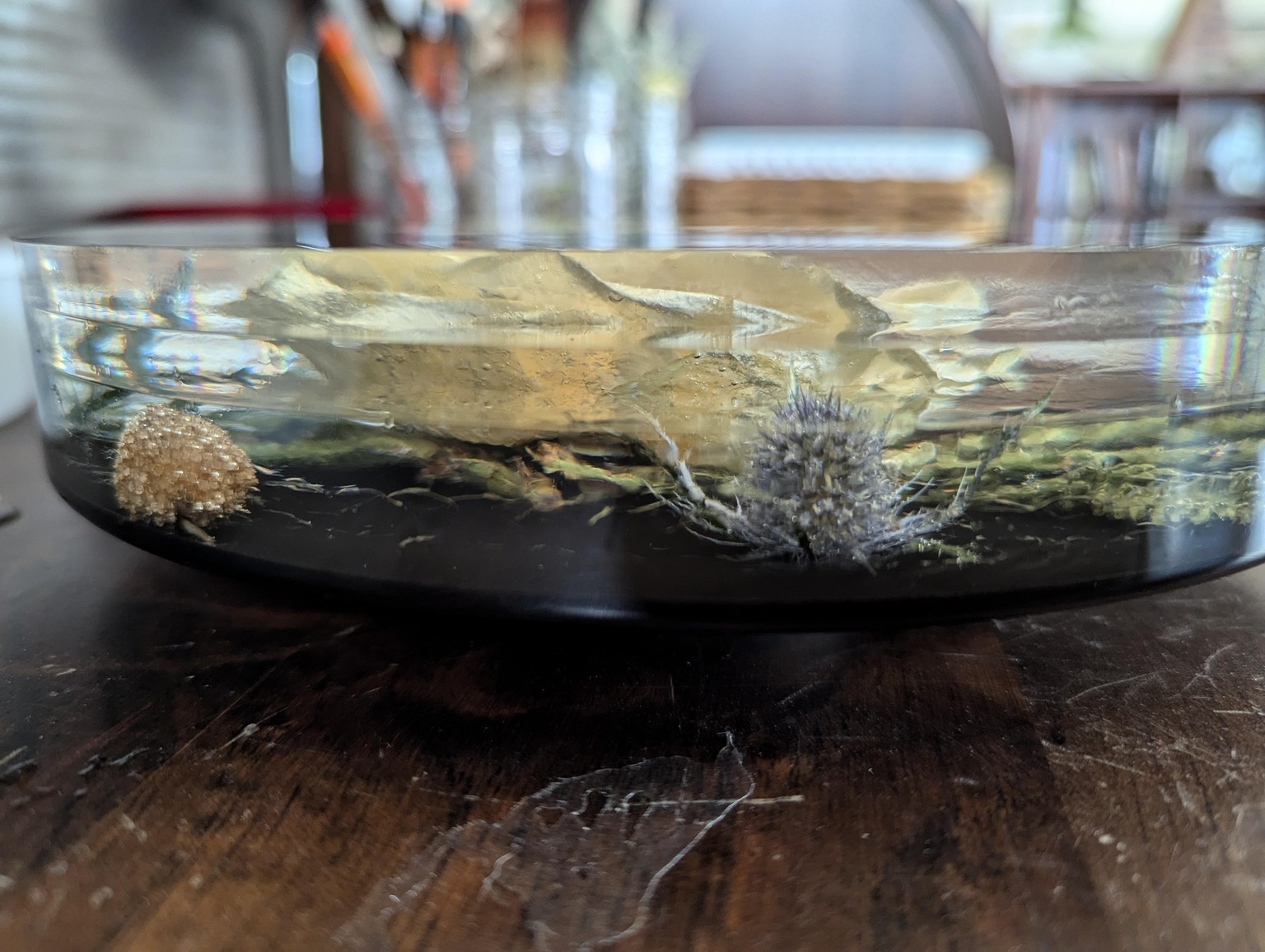 Floral preservation - image 1 - student project
