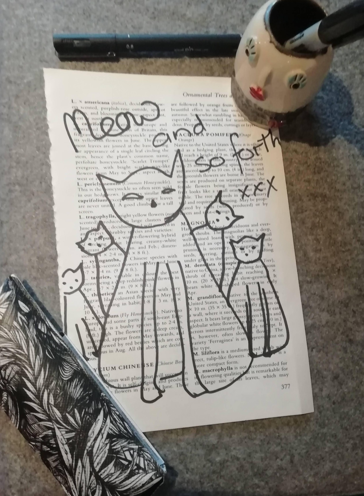 Meow and so forth - image 1 - student project