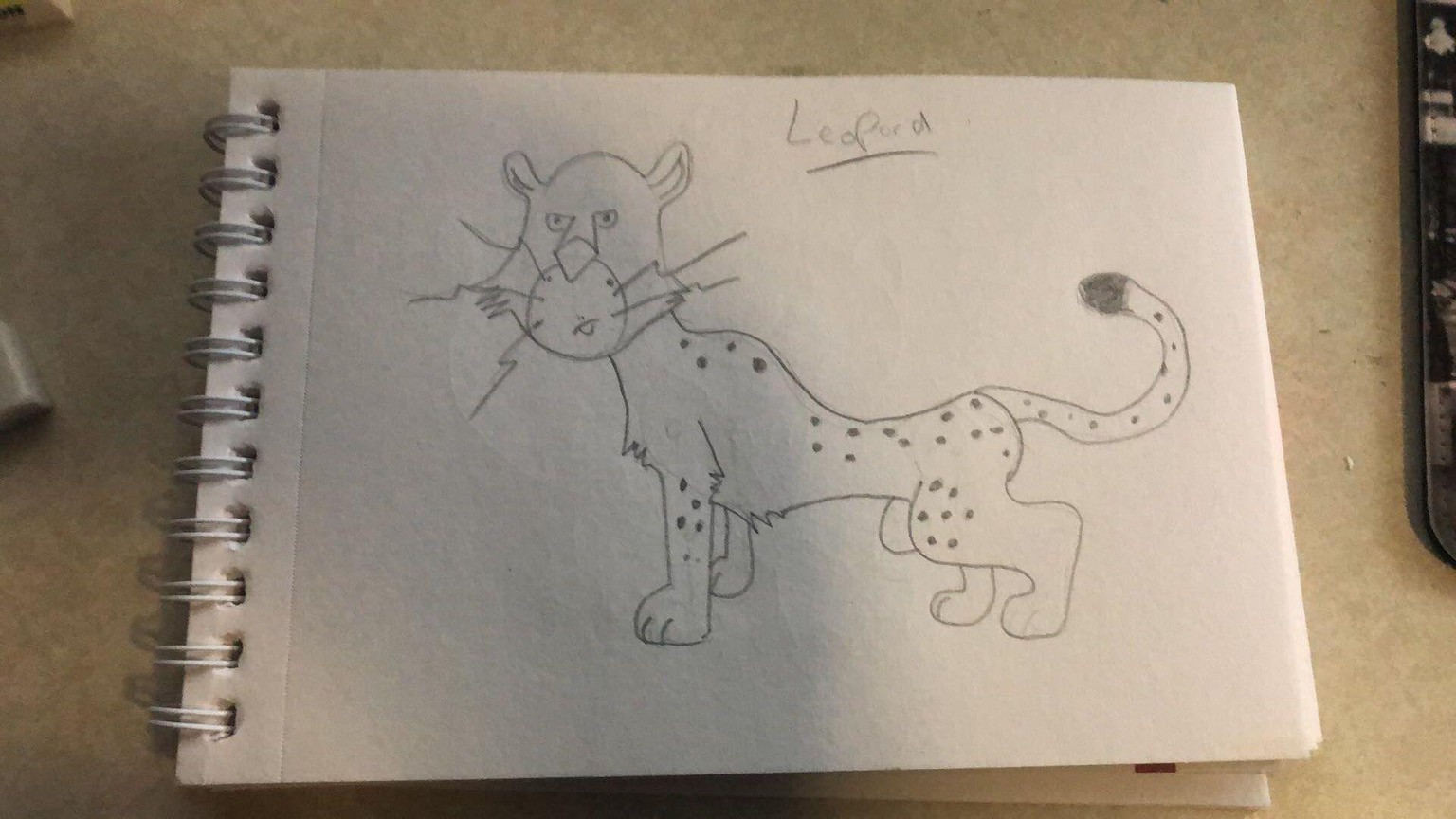Selection of Animals - image 3 - student project