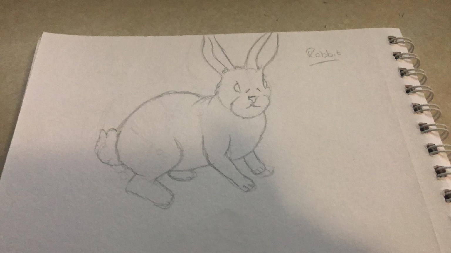 Selection of Animals - image 7 - student project