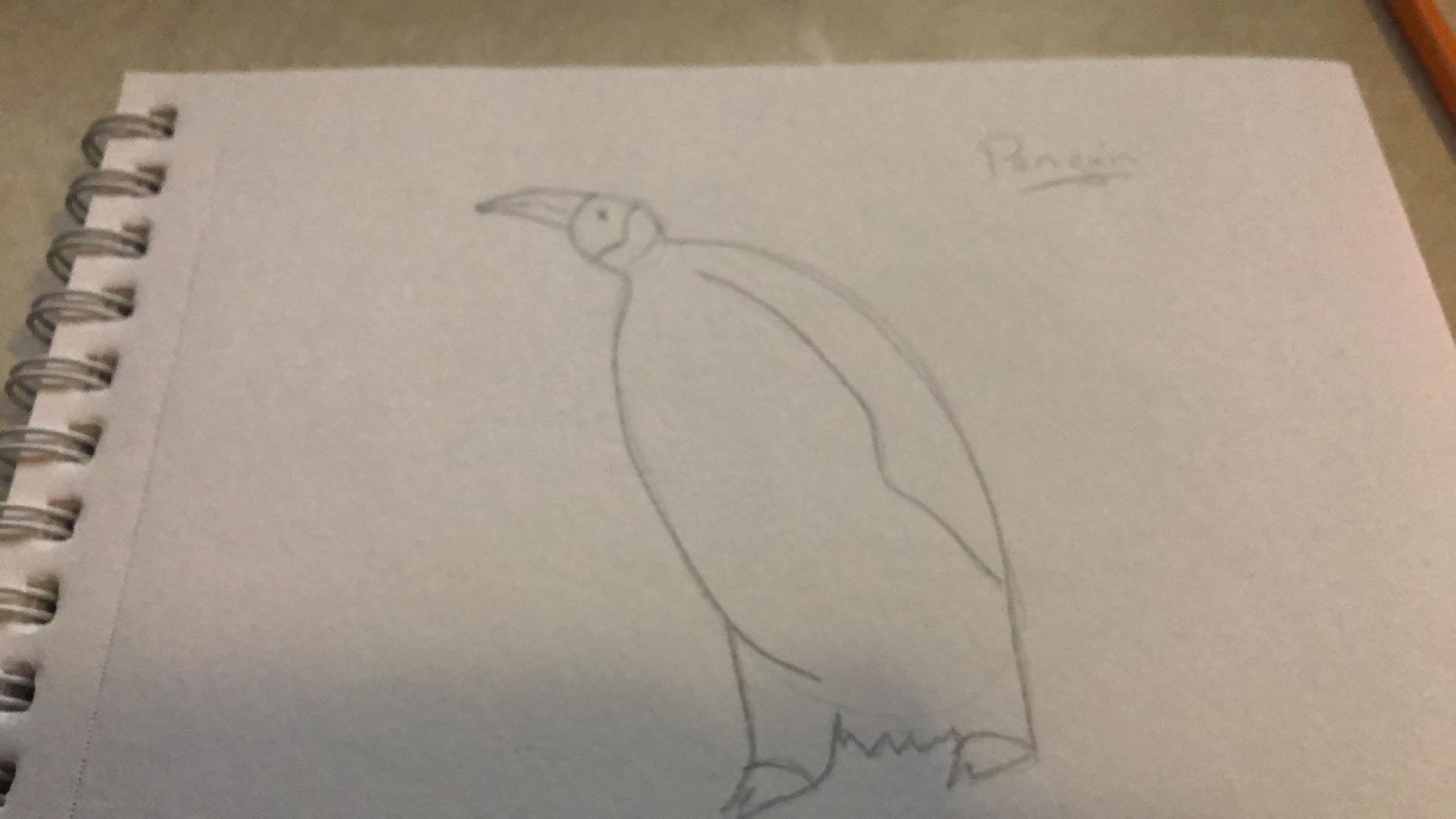 Selection of Animals - image 6 - student project