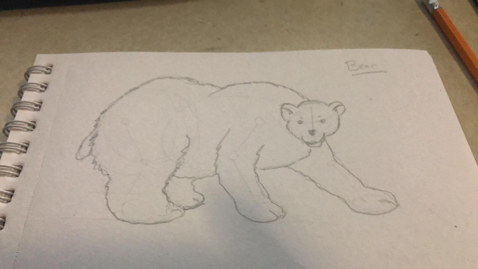 Selection of Animals - image 1 - student project