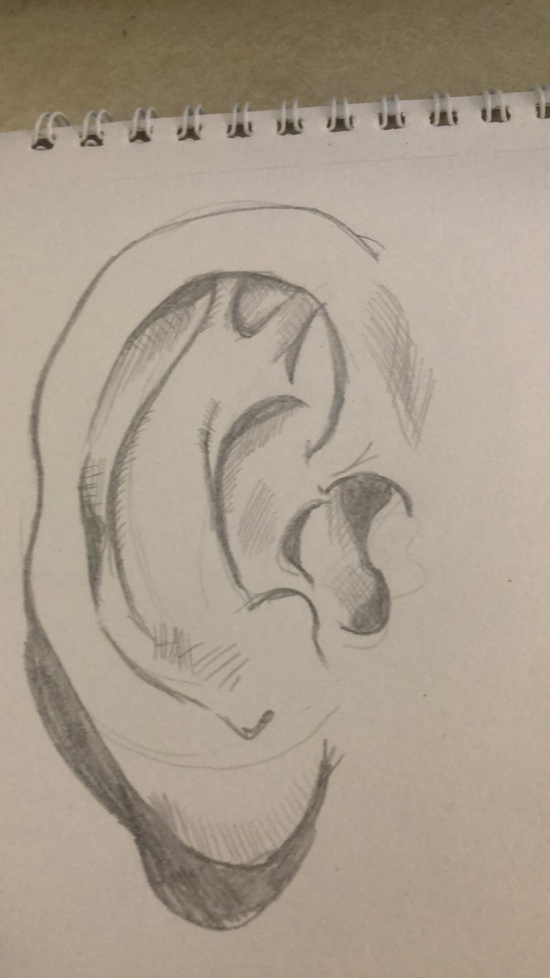 Ears - First try - image 2 - student project