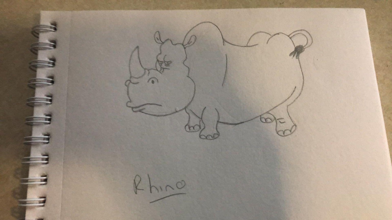 Selection of Animals - image 8 - student project