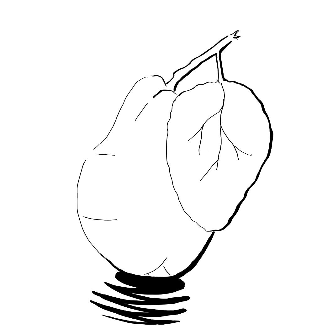 Pear - image 1 - student project