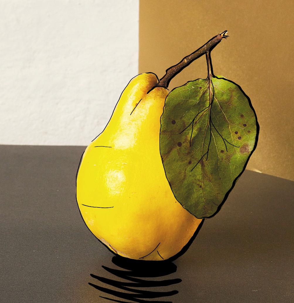 Pear - image 2 - student project