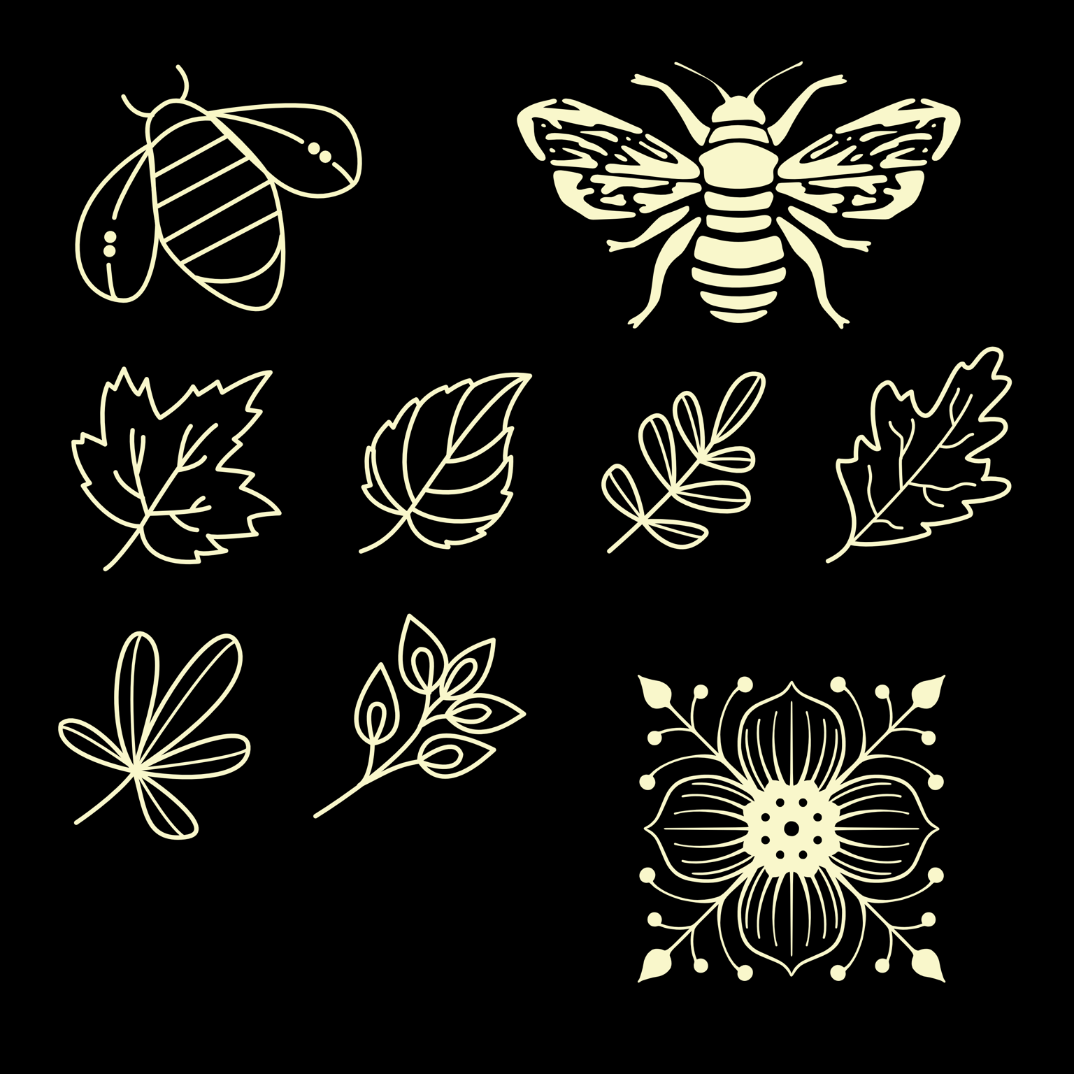 Covering My Assets :) - image 1 - student project