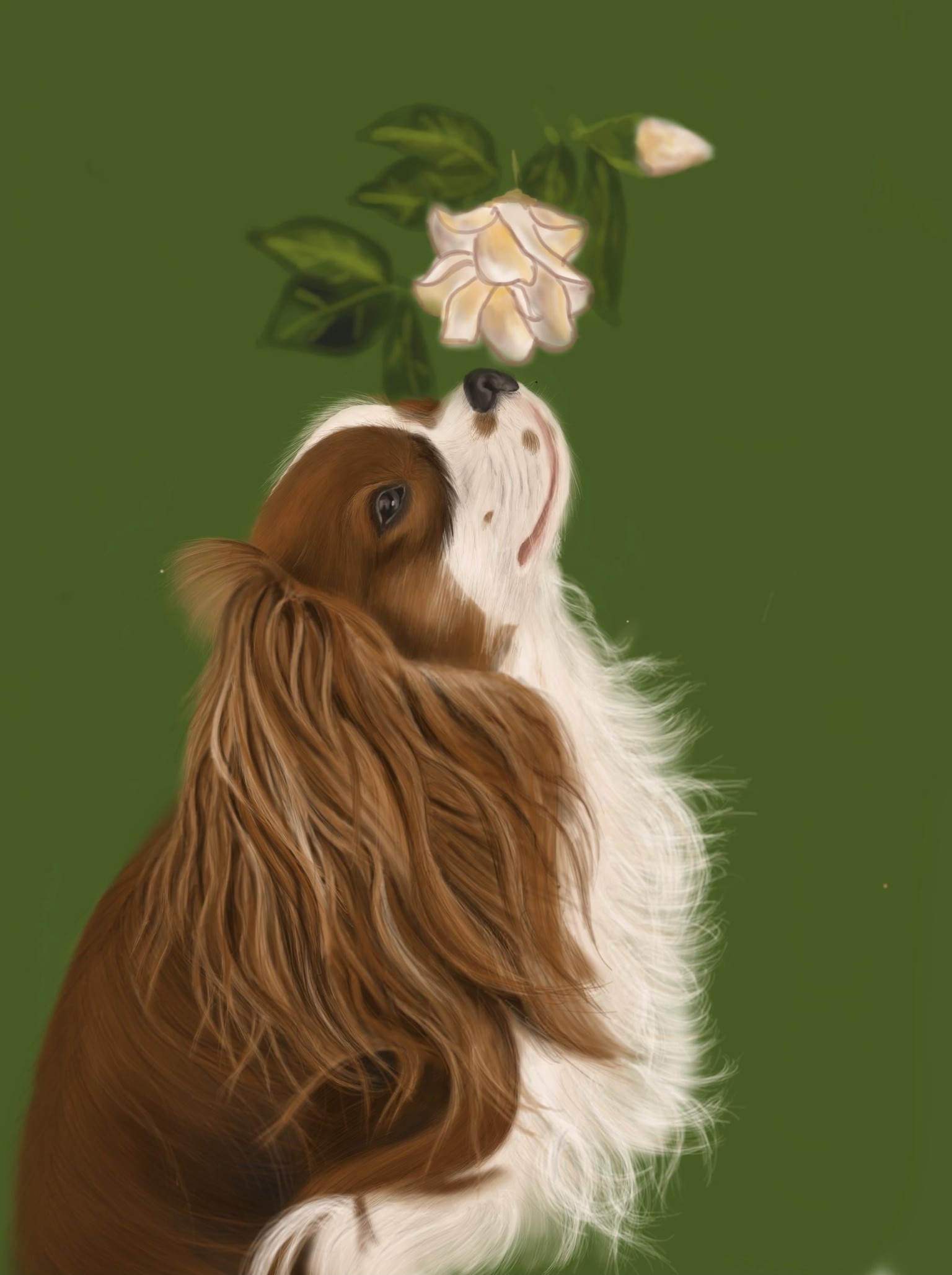 Fury animal - image 1 - student project