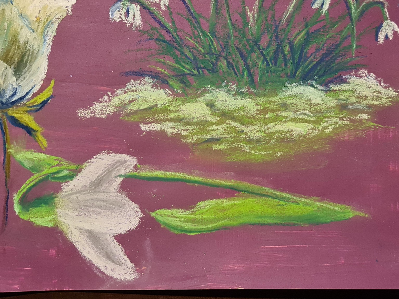 My first snowdrops in pastel - image 1 - student project