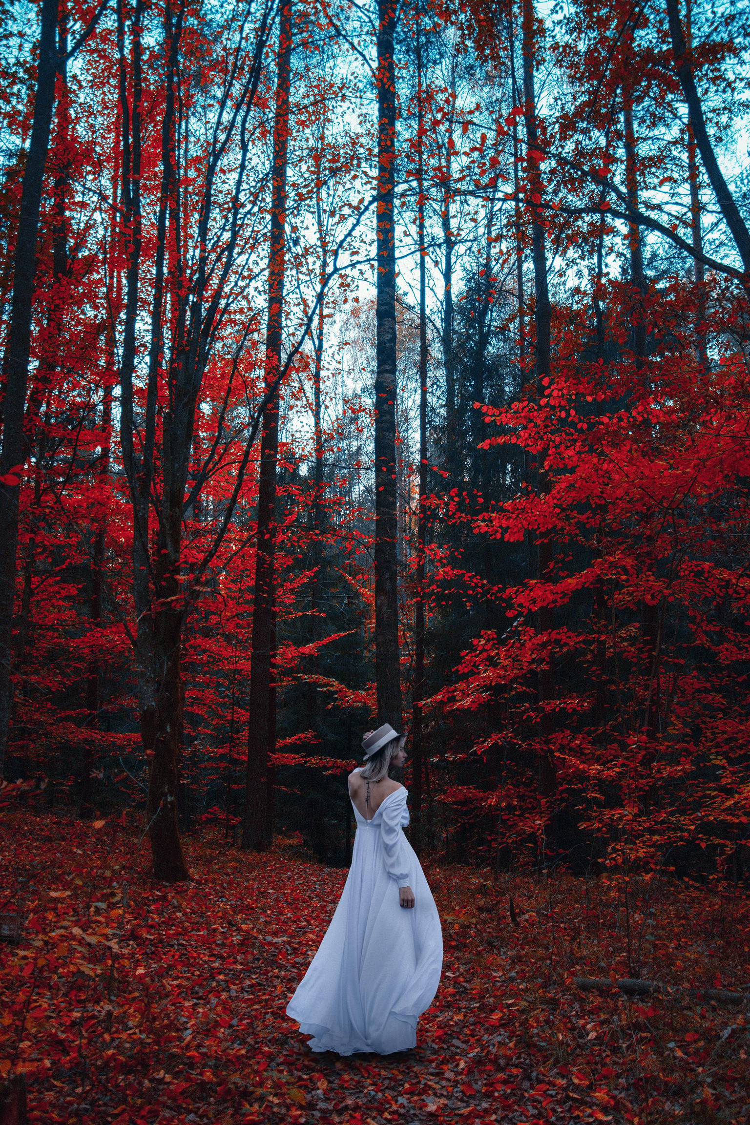 Intermediate Projects - image 1 - student project