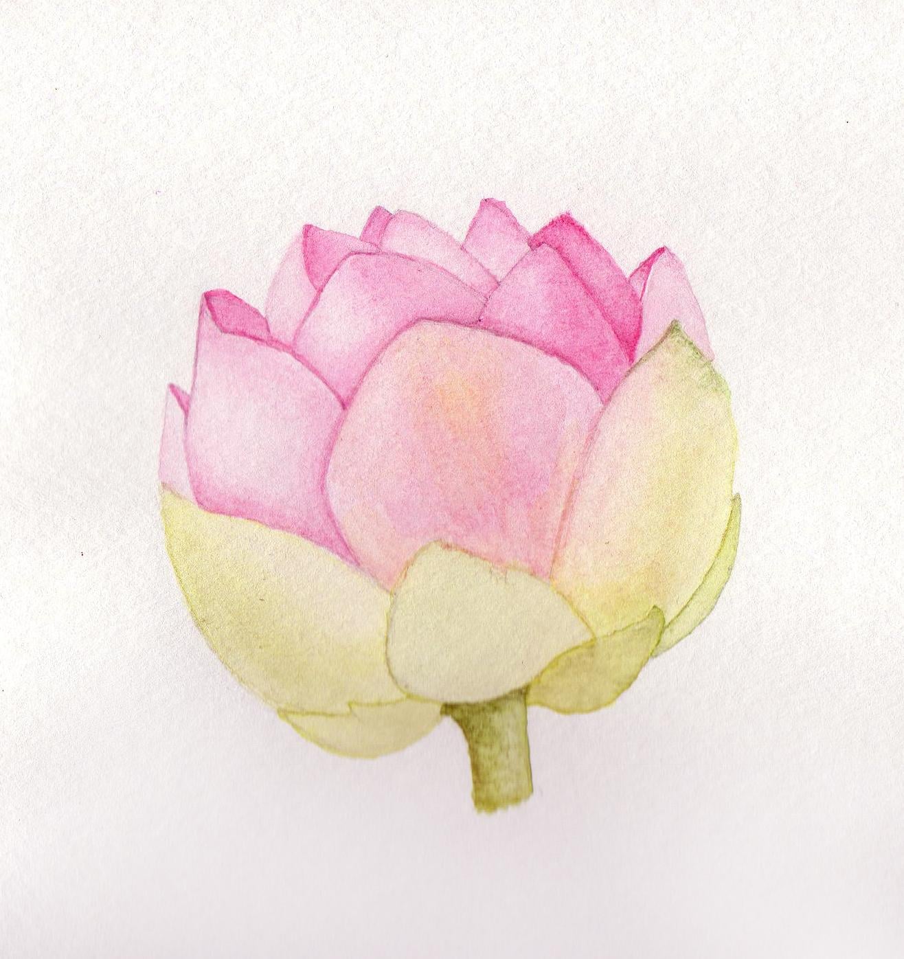 Botanical Journal - image 2 - student project
