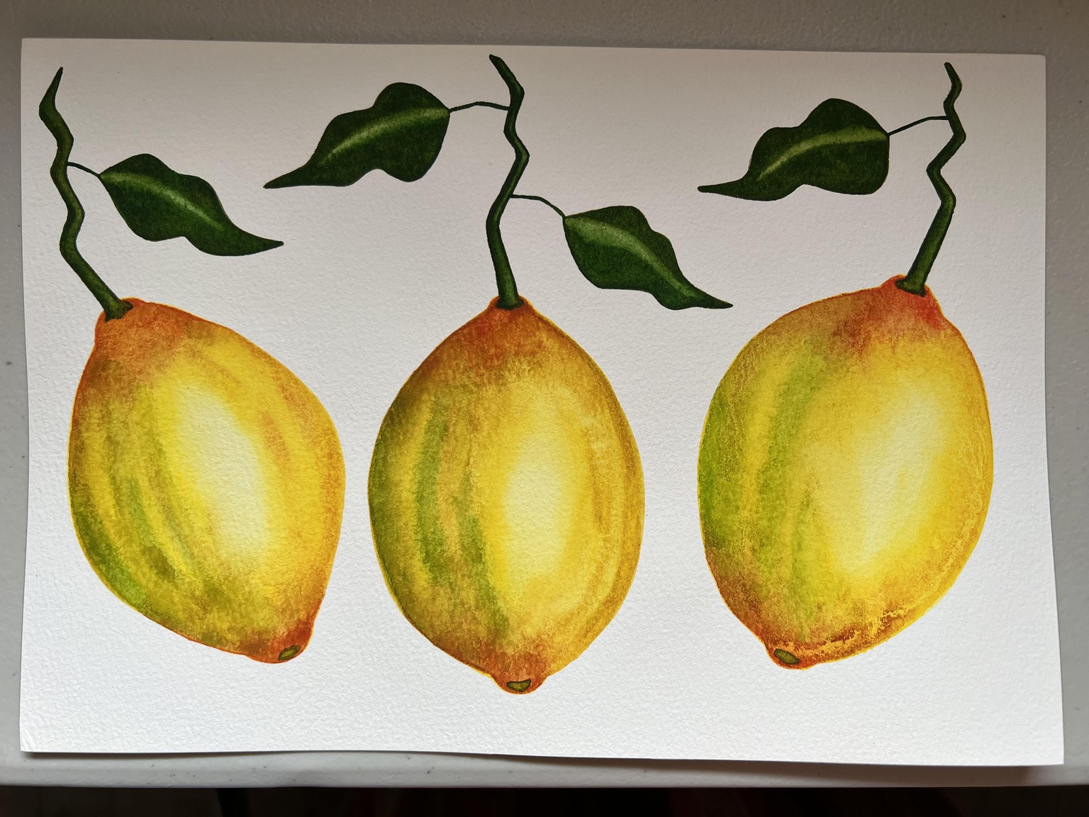 Watercolor Fruits - image 1 - student project
