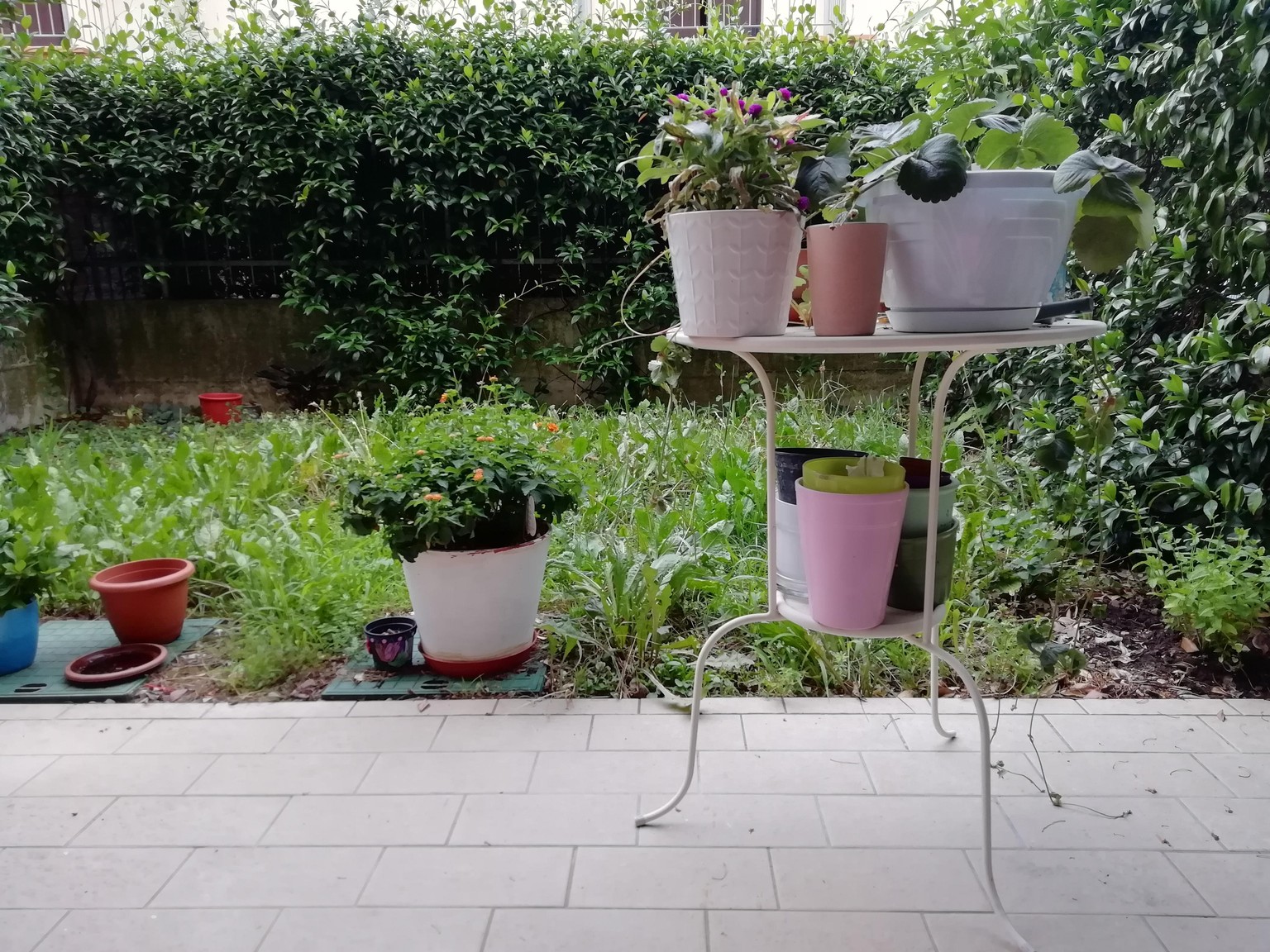 My little garden - image 1 - student project
