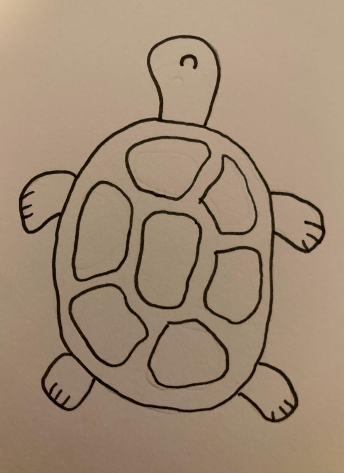 Hola Tortuga - image 6 - student project