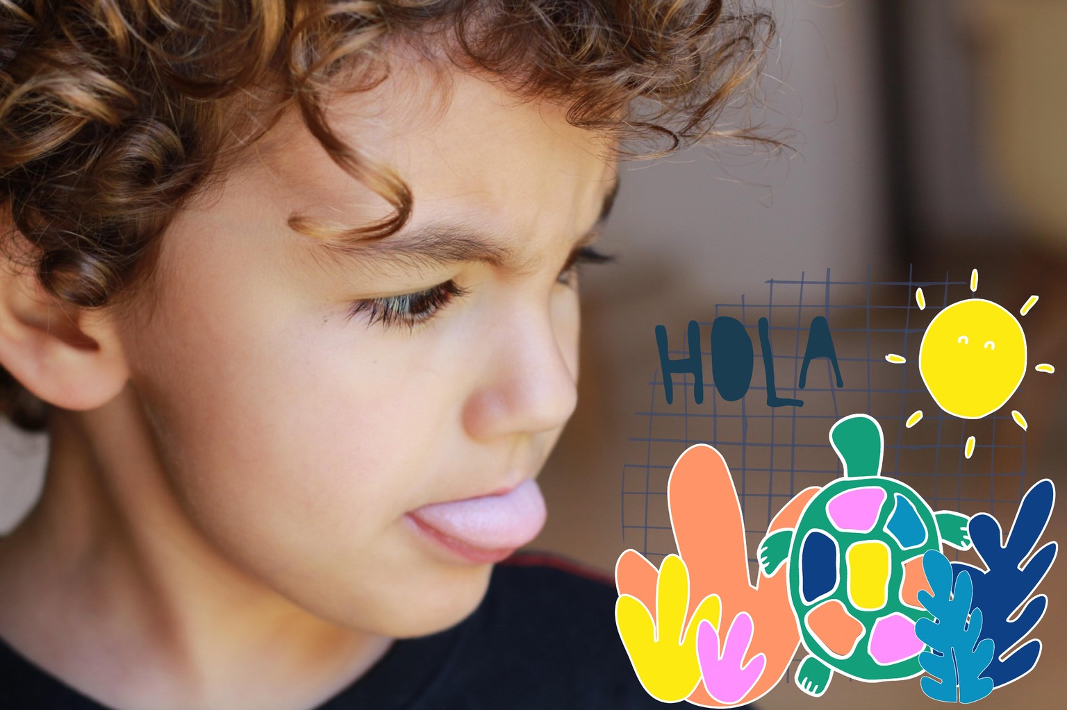 Hola Tortuga - image 2 - student project