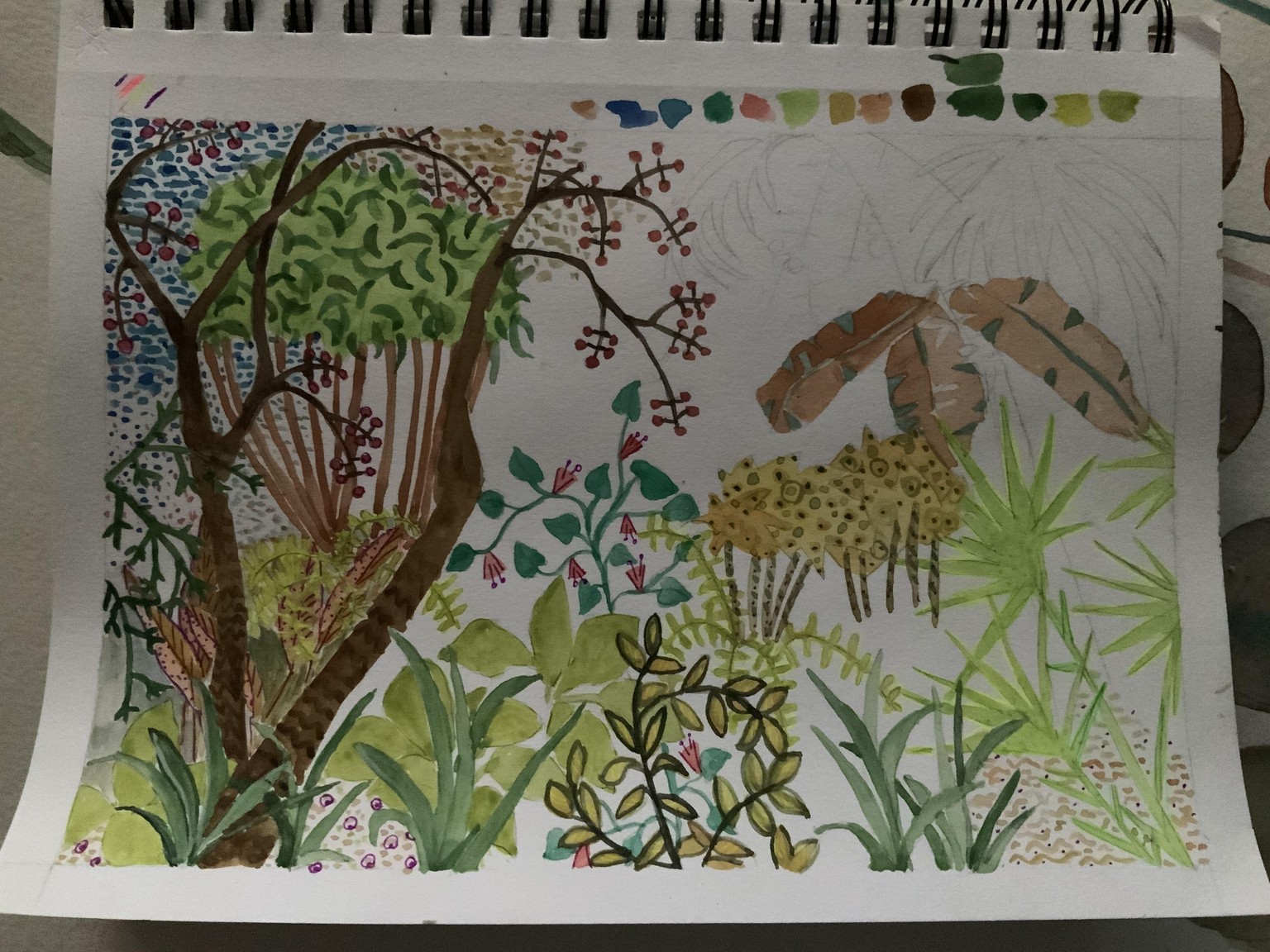 Plant Delights Garden NC - image 1 - student project