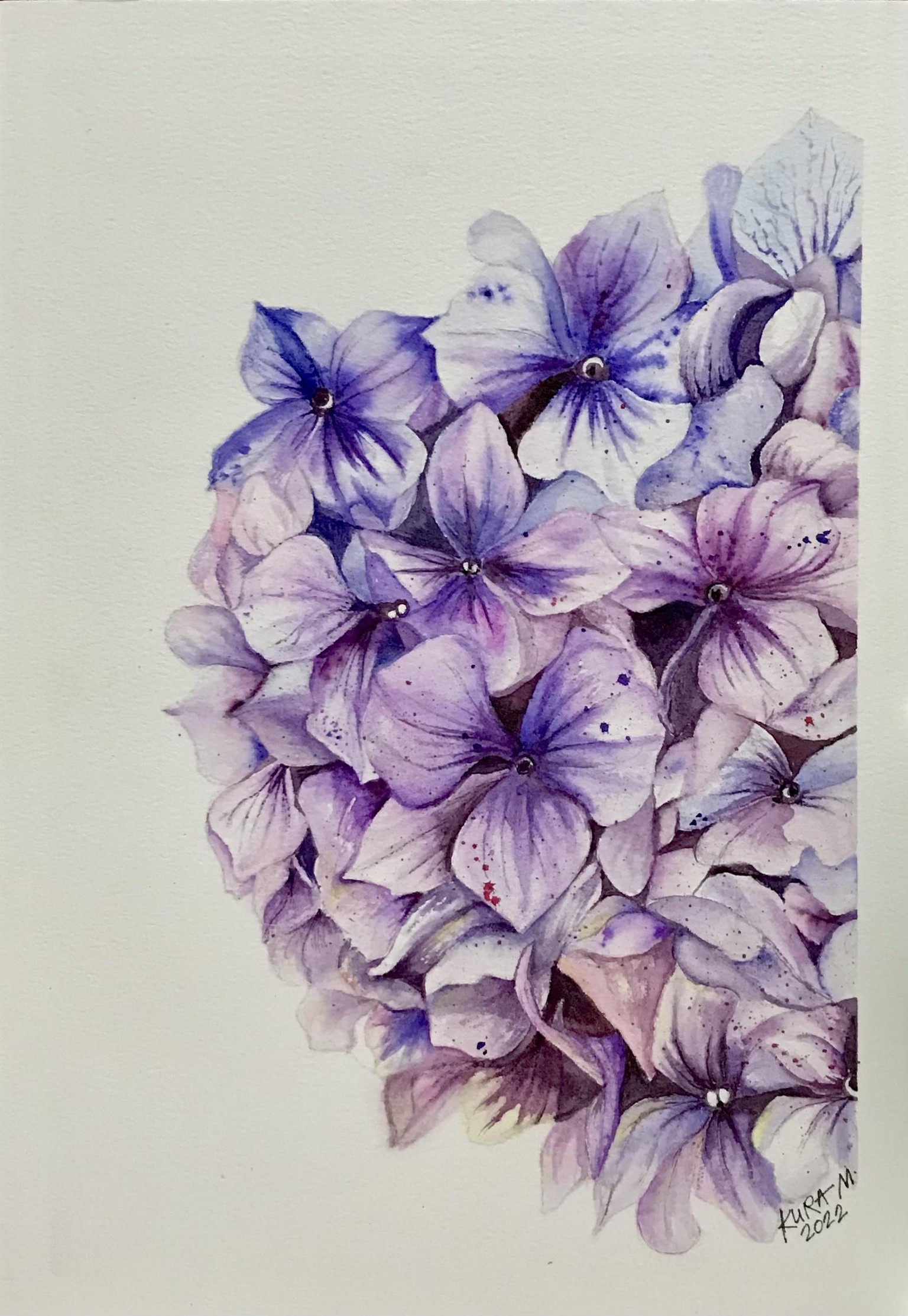 Hydrangeas in watercolor - image 1 - student project