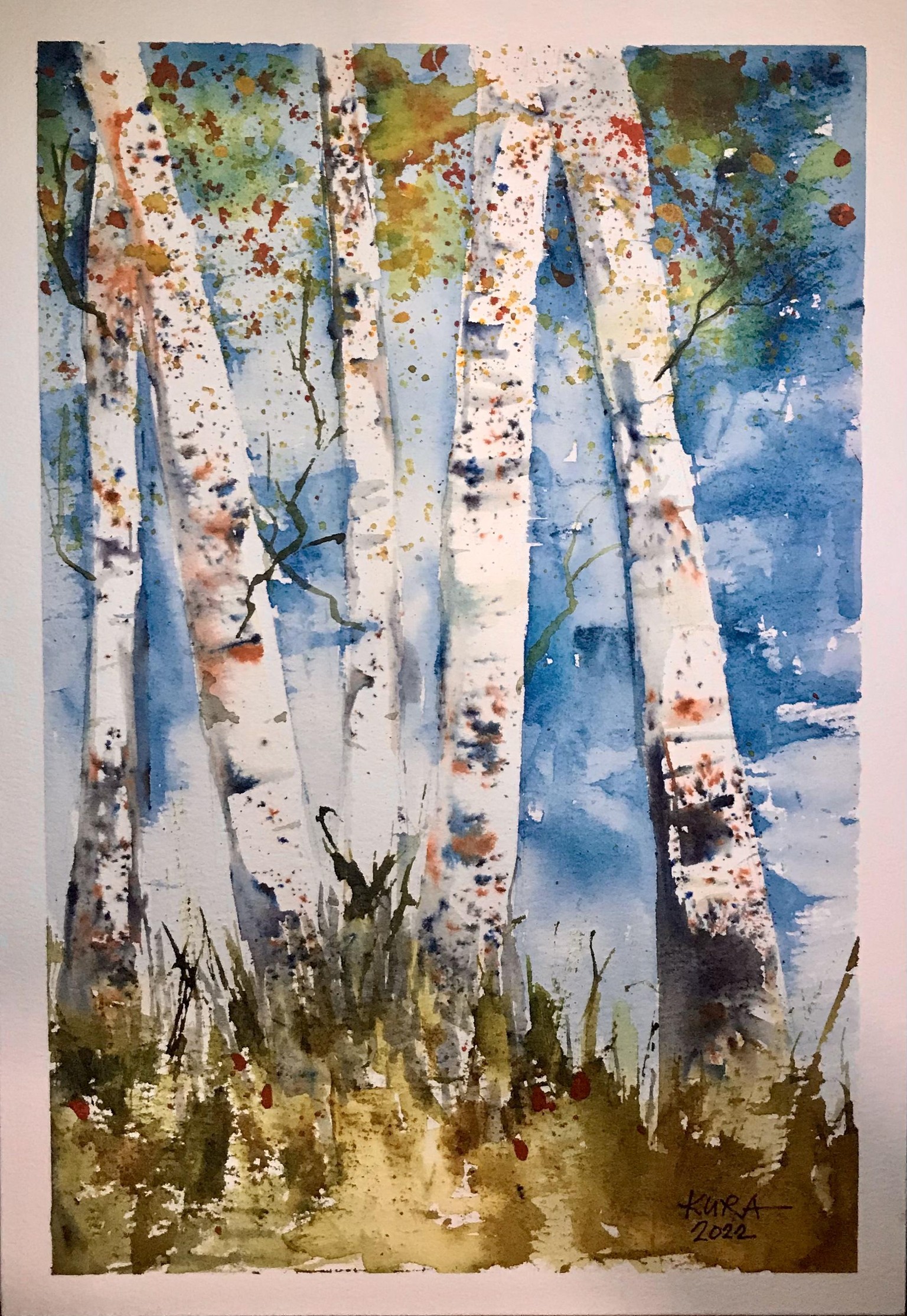 Beautiful Birch Trees - image 1 - student project