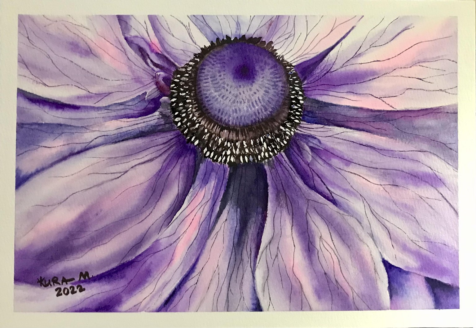 Anemone flower - image 1 - student project