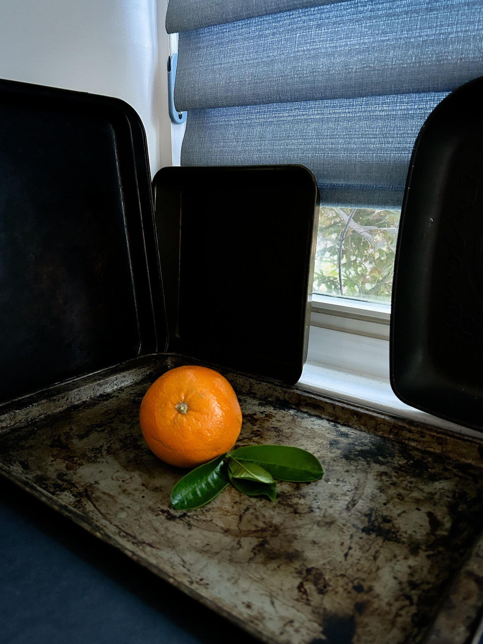 Food Photography w iPhone - image 3 - student project