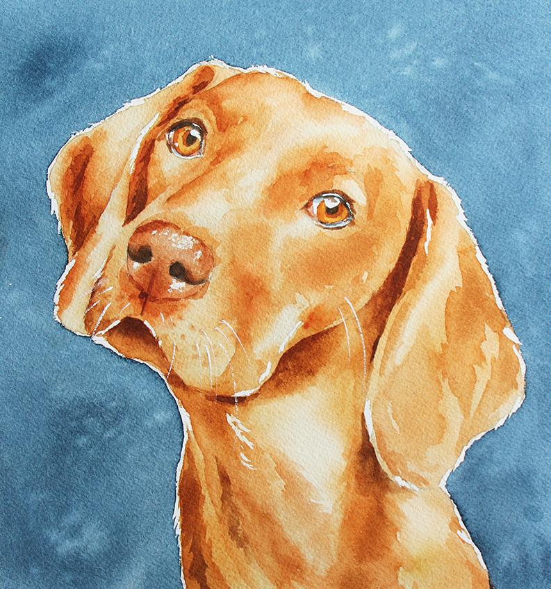 Watercolor Hungarian Vizsla - image 1 - student project
